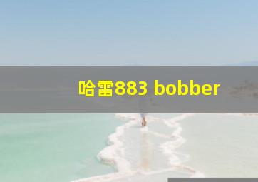 哈雷883 bobber